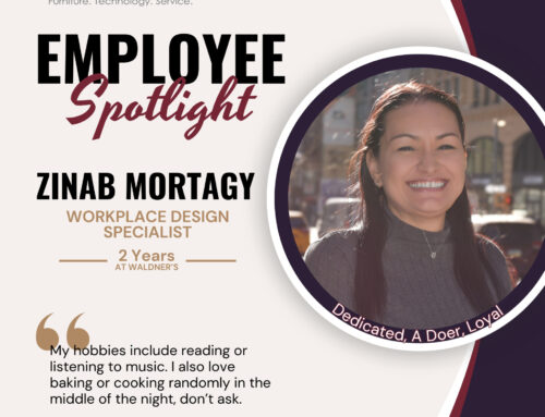 Employee Spotlight Series: Zinab Mortagy